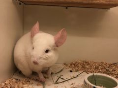 -龙猫仔乐园(惠福东路店)