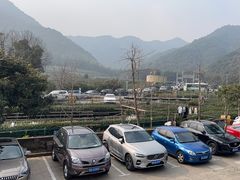 -听风阁农家私房菜茶楼(龙坞店)
