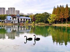 -新洲生态园