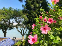 -鼓浪屿·皓月园