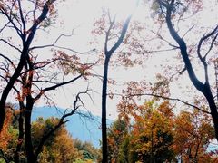 -广州市石门国家森林公园