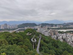 -福道