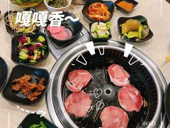 -满都拉碳火烤肉(文苑路店)