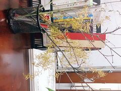 -秦汉胡同书法古筝围棋国画书院(宝地分馆)