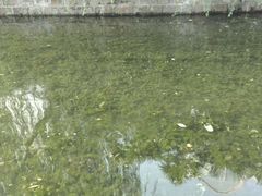 -兰溪青年公园