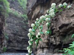 -龙门涧景区