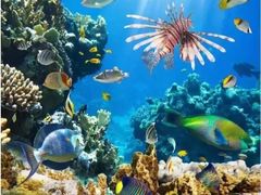 -福州罗源湾海洋世界旅游区