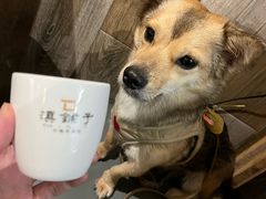 -滇铺子·云南特色菜·第九届野生菌美食节(曲靖万达店)