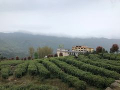 -镇龙山国家森林公园