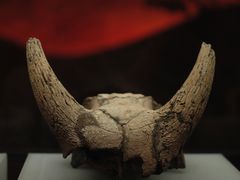 -河姆渡遗址博物馆