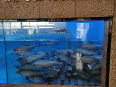 -淘米捞·米汤脆鲩鱼火锅(福田皇岗店)