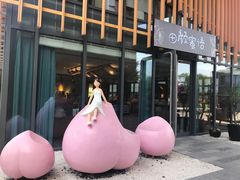 -田园东方蜜桃村的田野营地