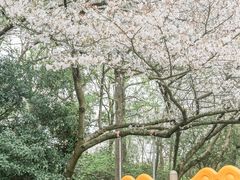 -杭州少年儿童公园