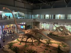 -自贡恐龙博物馆