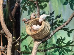 -Zoolung Zoolung动物主题公园(海信广场店)