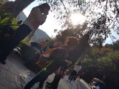 -深圳仙湖植物园-停车场