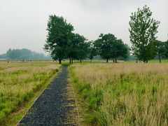 -汉长安城未央宫国家考古遗址公园