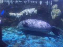 -石家庄海洋公园