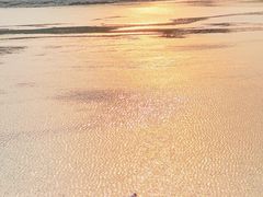 -金海湾滨江公园