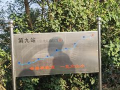 -阳台山森林公园