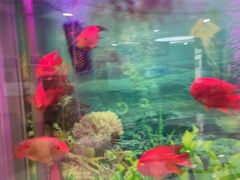 -雅悦齿科(顾村公园店)
