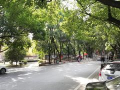 -武汉大学老图书馆