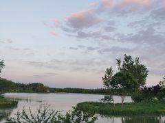 -东郊湿地公园