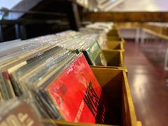 -树懒黑胶唱片店(中山路店)