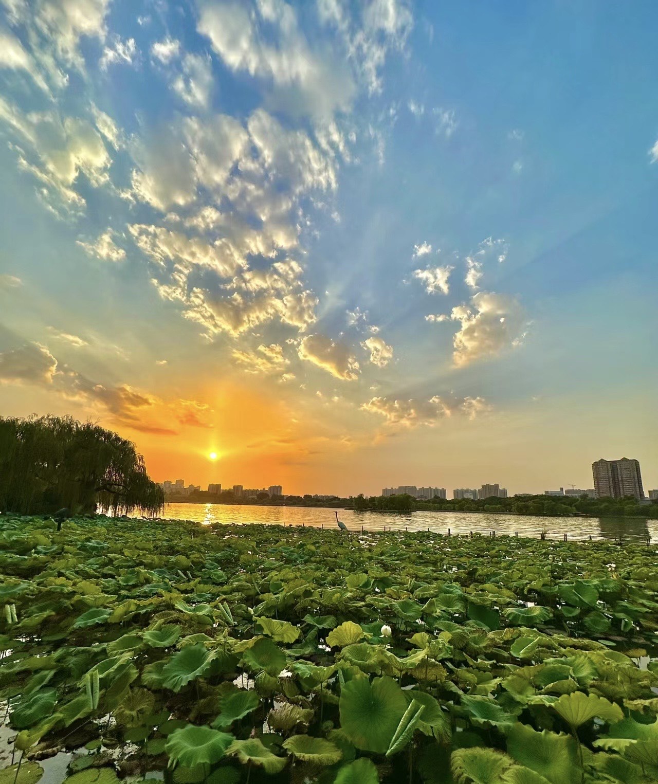 傍晚风景照片图片