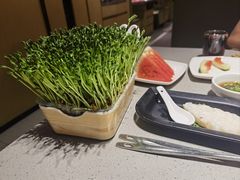 -海底捞火锅(海宁路店)