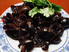 -徐鼎盛民间菜(南坪后堡店)