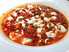 -青花椒花椒鱼(合生汇店)