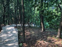 -广州市帽峰山景区