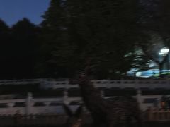 -丰台花园