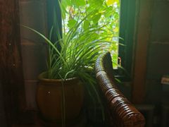 -斯多格书乡(北京大学畅春园店)