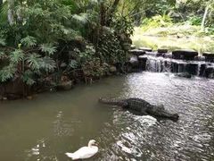 -呀诺达热带雨林
