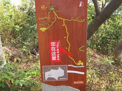 -梧桐山风景名胜区