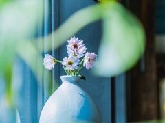 -瓦库茶馆17号(海汇港店)