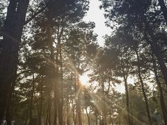-Club Med地中海俱乐部·桂林度假村