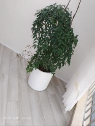-HEYAN荷妍专业脱毛连锁机构
