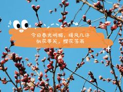 -香山公园