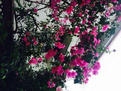 iphone_upload_pic-南丫岛