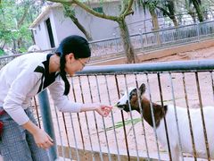 -广东茂名森林公园