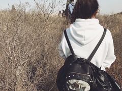 -龙洞风景区-藏龙涧