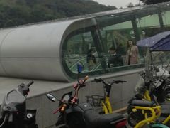 -大龙山(地铁站)