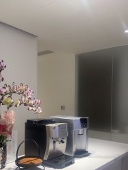 -BELLAREAL新美社