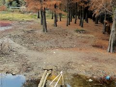 -青龙山国家森林公园