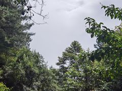 -苍山感通索道