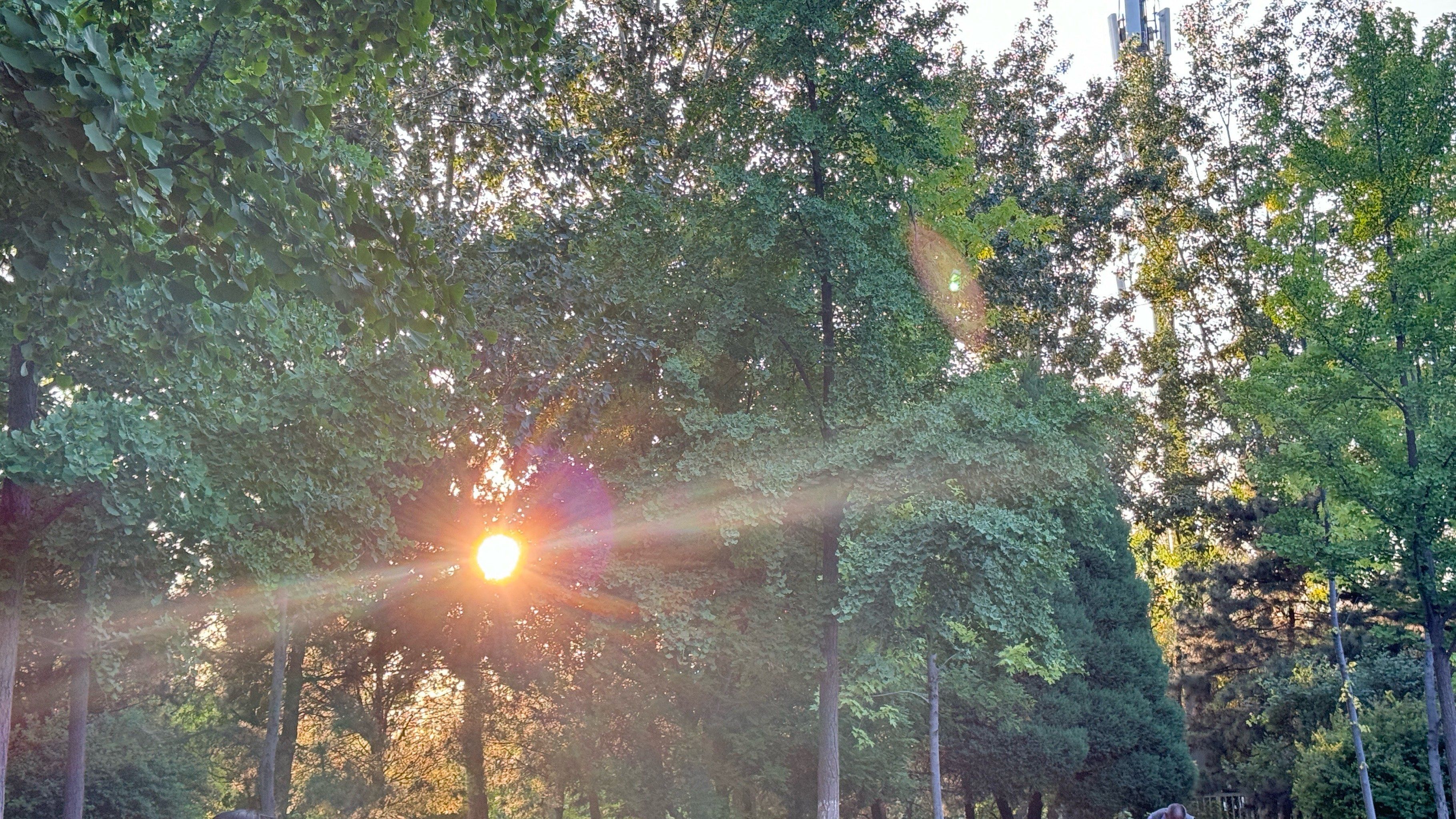 夏日得午后,阳光时候免费的