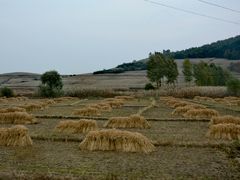 -吊水壶国家森林公园